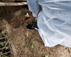 20년빌라 오수관파손  부분교체